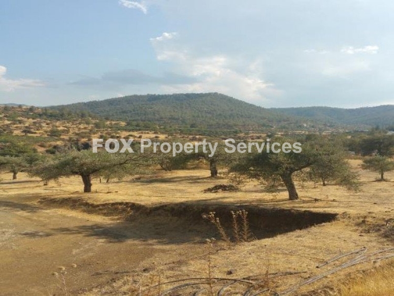 Agricultural, For Sale, Nicosia, Kalo Chorio Oreinis