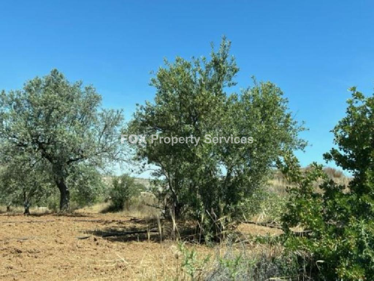 Plot, For Sale, Nicosia, Analiontas
