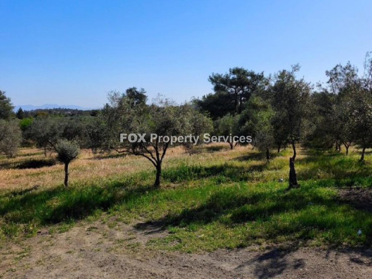 Agricultural, For Sale, Nicosia, Lythrodontas
