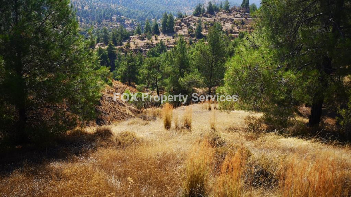 Plot, For Sale, Nicosia, Agios Theodoros Soleas