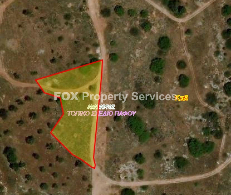 Field, For Sale, Paphos, Anavargos