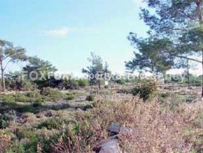 Field, For Sale, Limassol, Souni