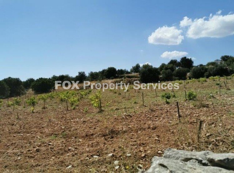 Plot, For Sale, Limassol, Pachna