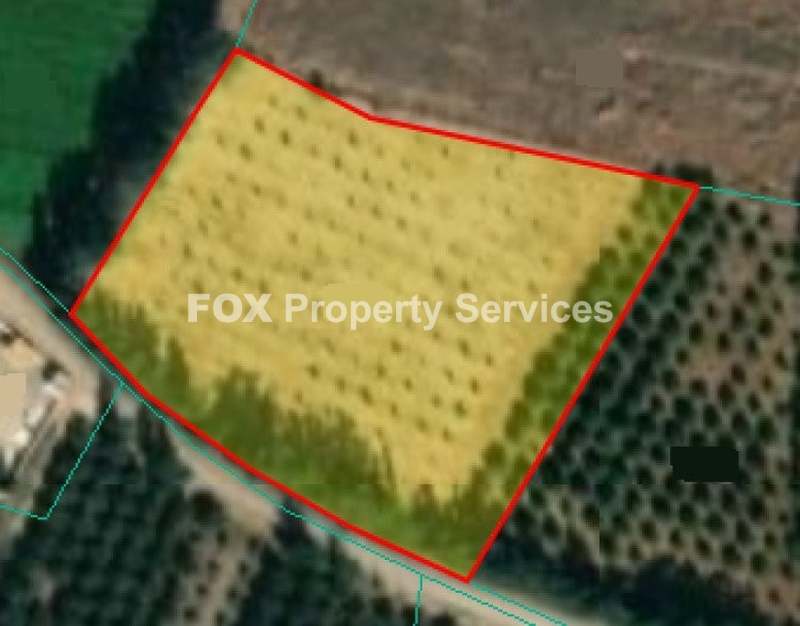 Plot, For Sale, Paphos, Mandria