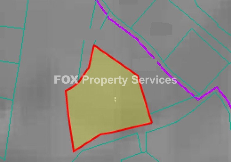 Field, For Sale, Paphos, Mesogi