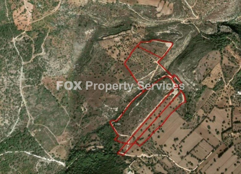 Field, For Sale, Paphos, Neo Chorio Pafou