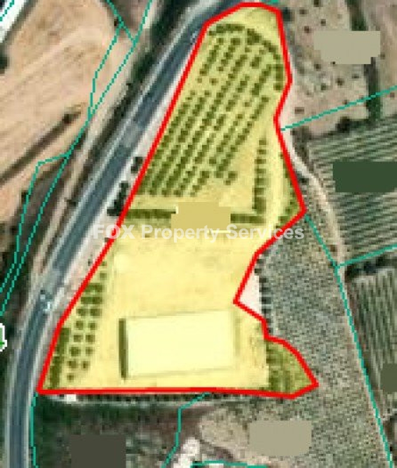 Agricultural, For Sale, Paphos, Theletra