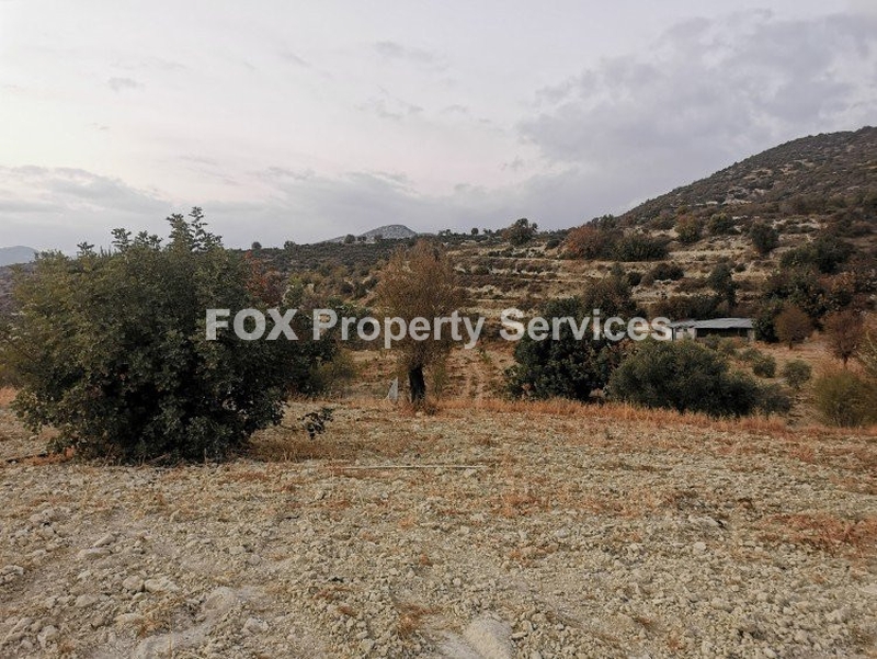 Агроземля, Продается, Limassol, Parekklisia