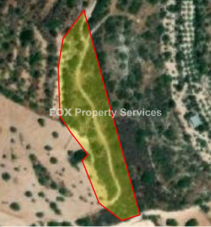 Field, For Sale, Paphos, Koili