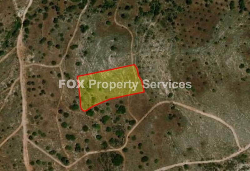 Field, For Sale, Paphos, Anavargos