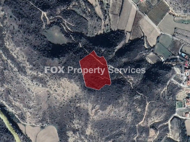 Field, For Sale, Limassol, Pissouri