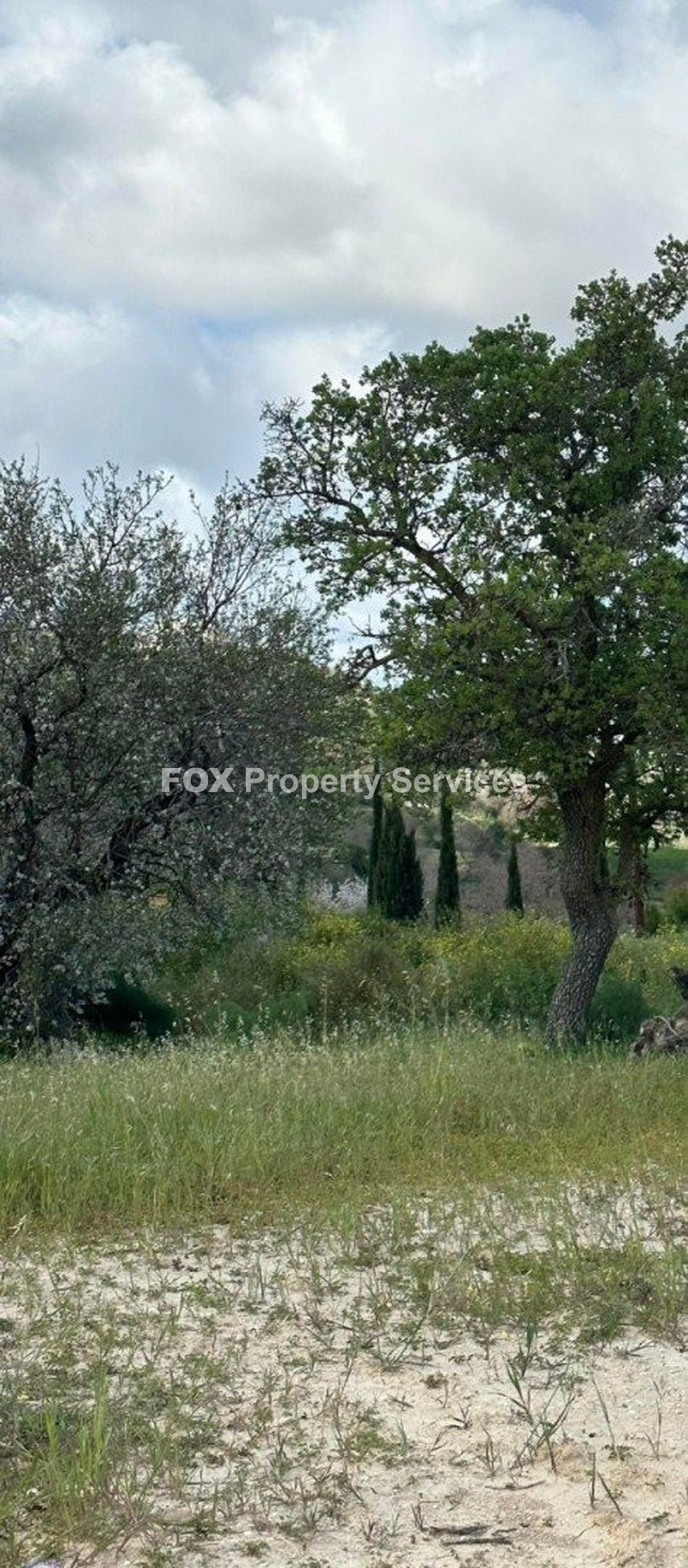 Участок, Продается, Paphos, Armou
