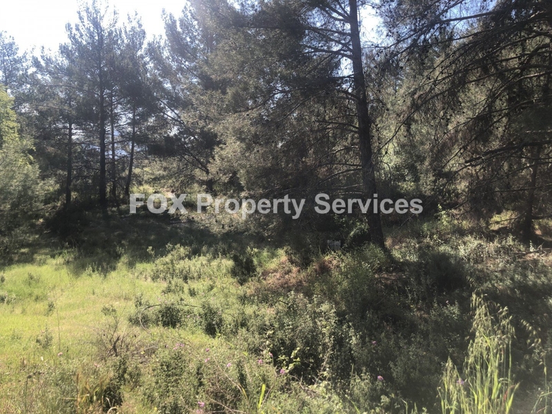 Field, For Sale, Limassol, Pera Pedi