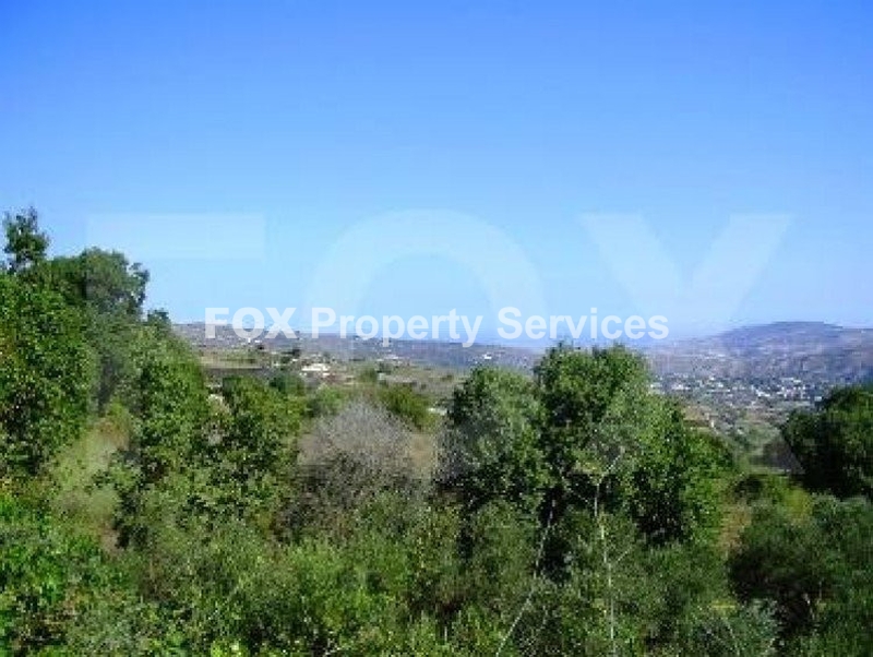 Field, For Sale, Paphos, Pafos (center)
