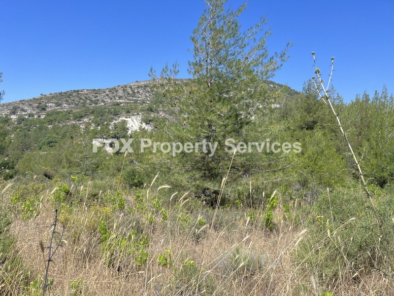Field, For Sale, Limassol, Pera Pedi