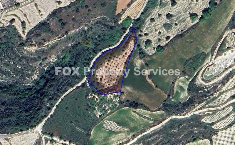 Έκταση, Προς Πώληση, Πάφος, Κοίλη