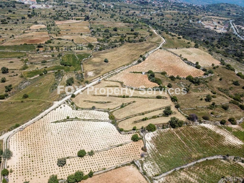 Field, For Sale, Limassol, Pachna