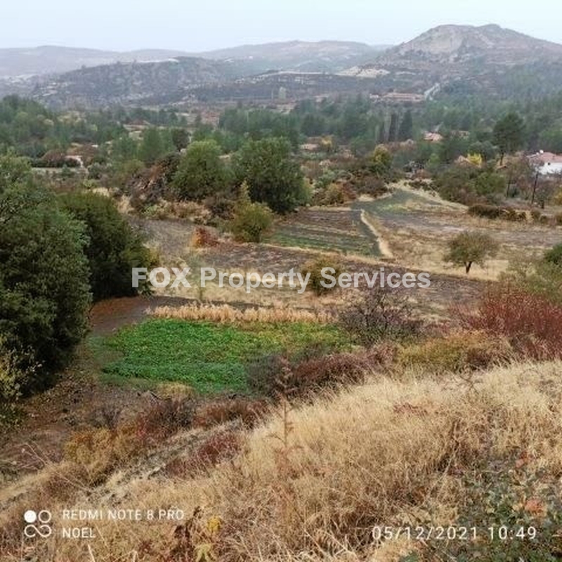 Field, For Sale, Limassol, Pera Pedi