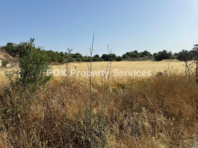 Plot, For Sale, Paphos, Marathounta