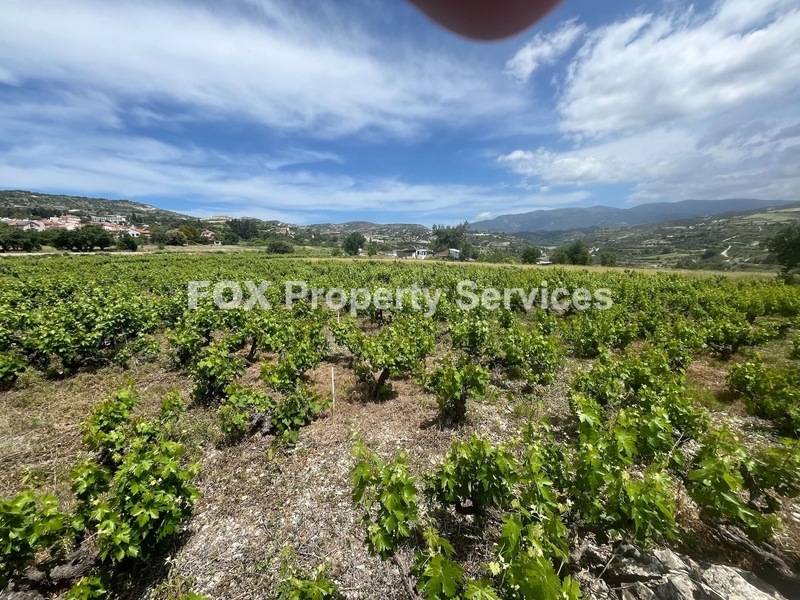 Plot, For Sale, Limassol, Omodos