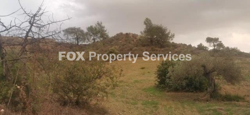 Field, For Sale, Limassol, Kato Polemidia