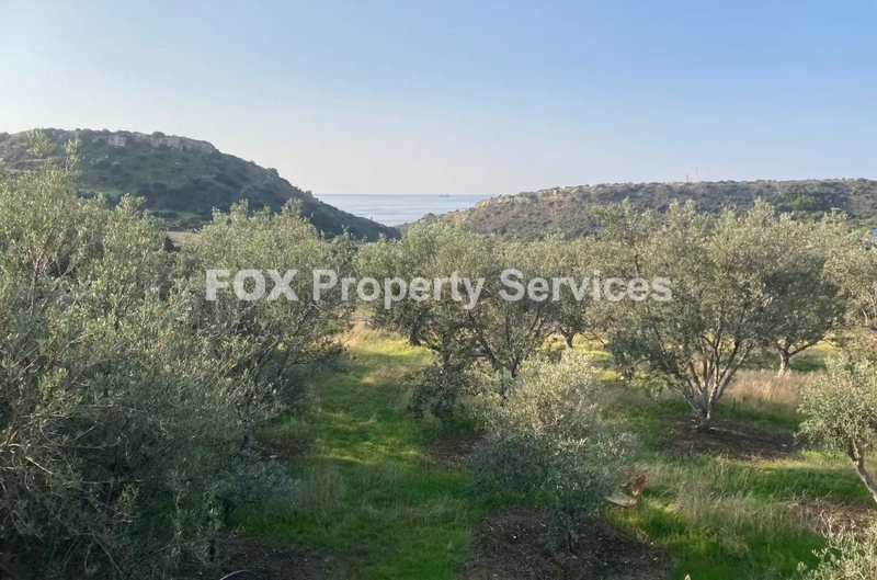 Field, For Sale, Limassol, Agios Tychonas