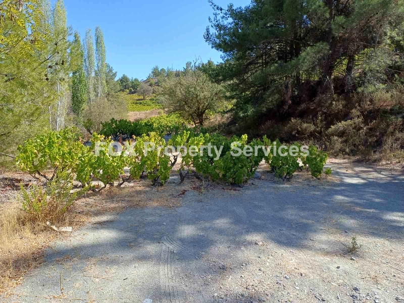 Plot, For Sale, Limassol, Agridia