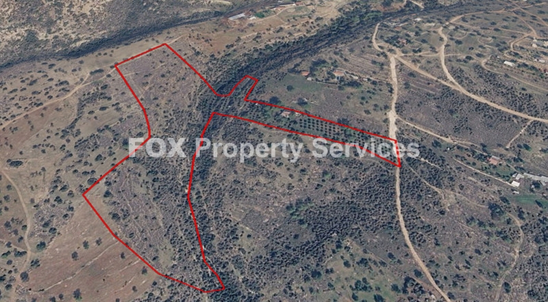 Field, For Sale, Limassol, Sotira