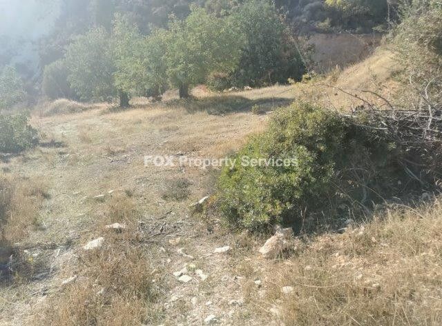 Field, For Sale, Limassol, Asgata