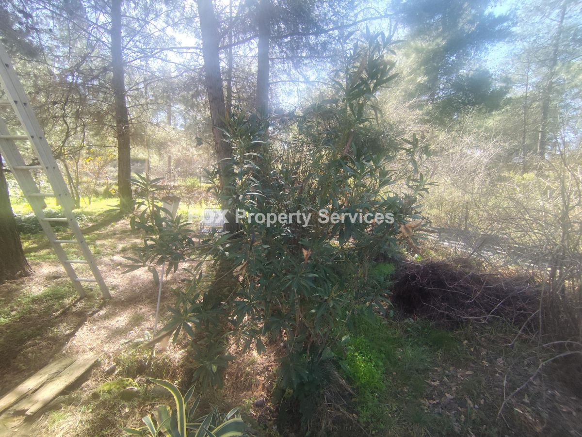 Field, For Sale, Limassol, Laneia