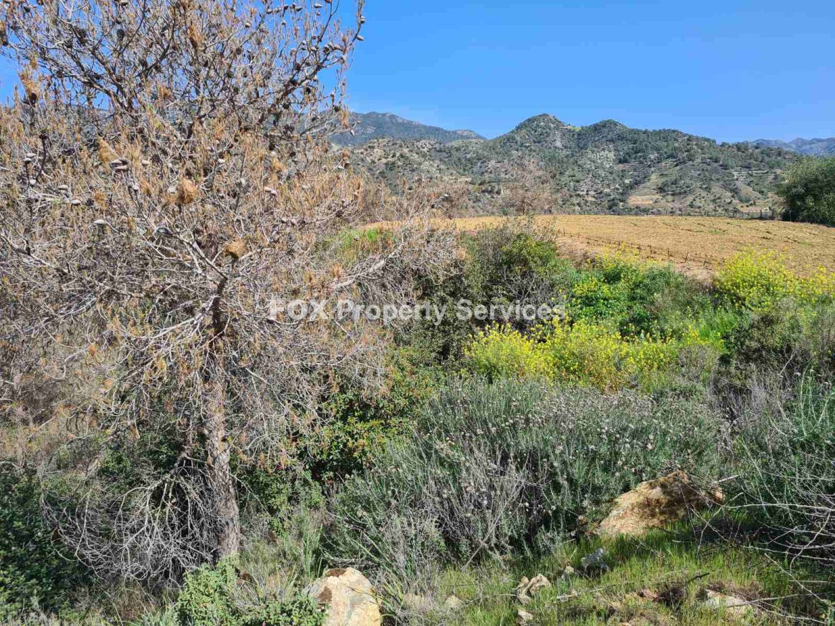 Field, For Sale, Limassol, Apsiou