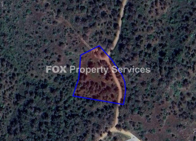 Agricultural, For Sale, Nicosia, Kapedes