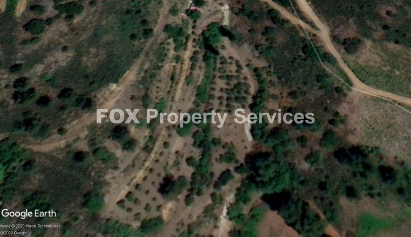 Agricultural, For Sale, Larnaca, Agioi Vavatsinias