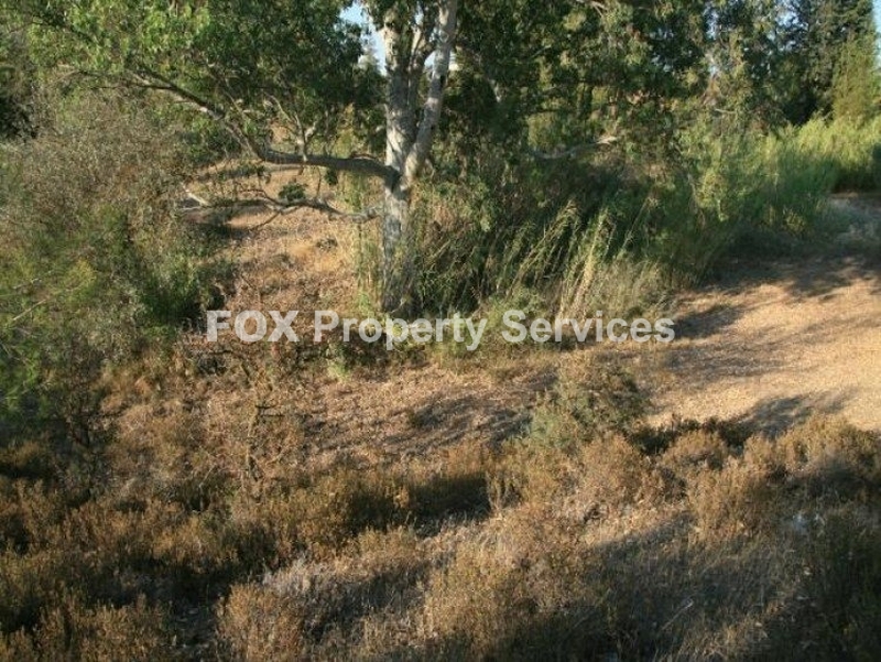 Agricultural, For Sale, Nicosia, Mitsero