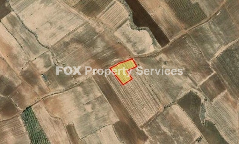 Agricultural, For Sale, Nicosia, Kato Koutrafas