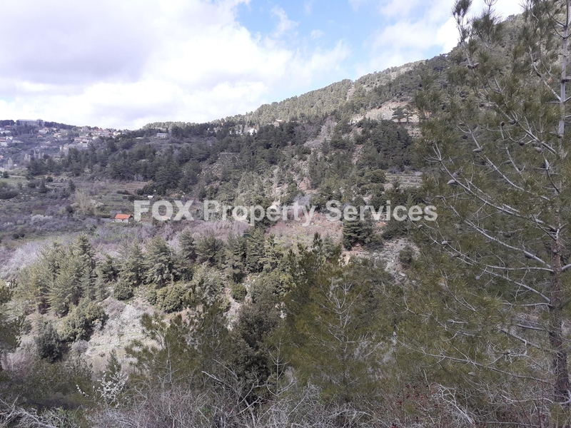 Field, For Sale, Limassol, Prodromos